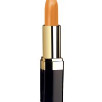 رژلب جامد مدل Lipstick رنگ قهوه ای شماره 66 گلدن رز Golden Rose
