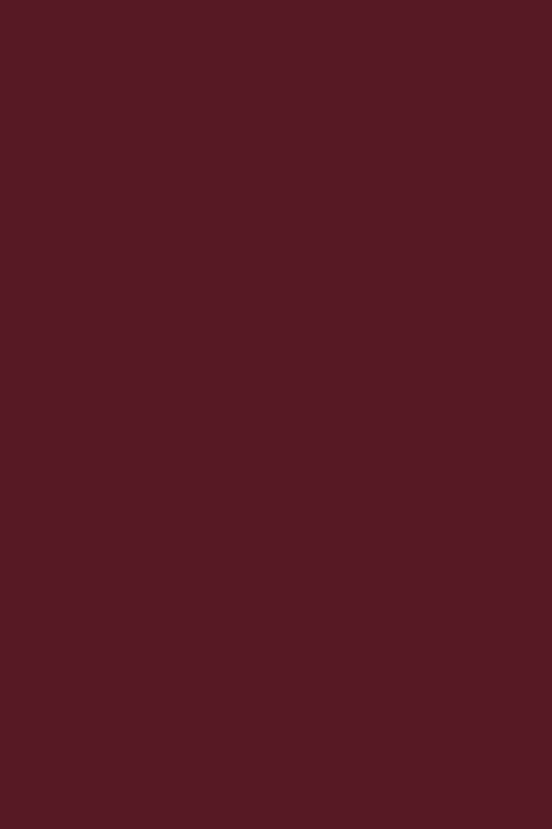 رژلب جامد لانگ ویرینگ رنگ صورتی باربی شماره ۰۱۹ فلورمار Flormar شیکولات
