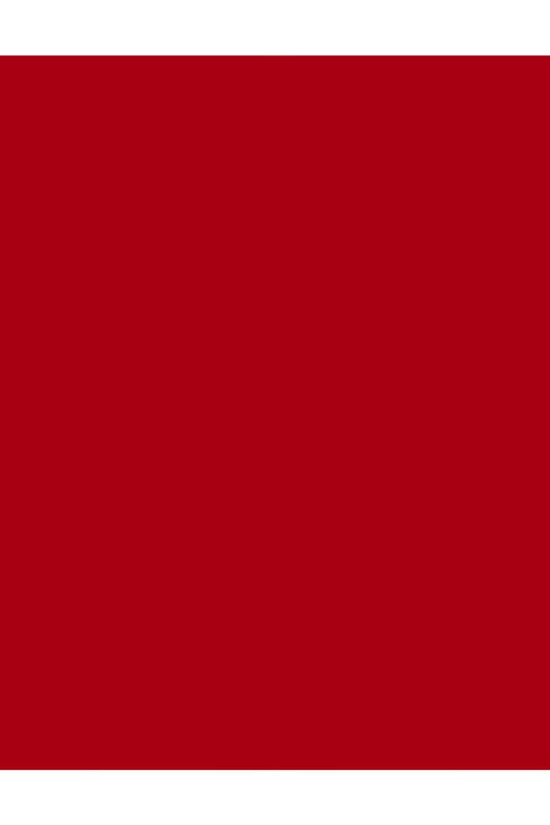 لاک ناخن مکسی براش رنگ قرمز آتشین شماره 048 فلورمار Flormar شیکولات