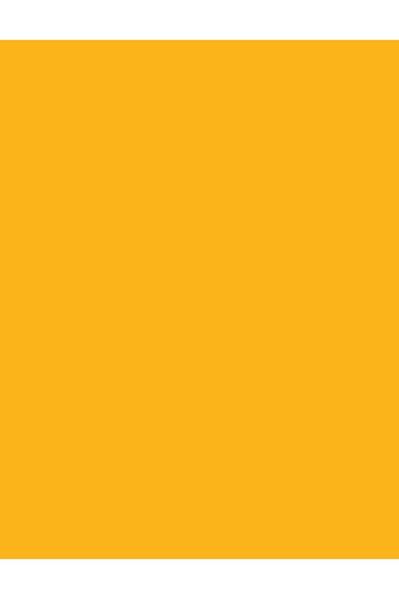 لاک ناخن ژله ای مدل Jelly Look رنگ زرد پر انرژی شماره JL90 فلورمار Flormar شیکولات